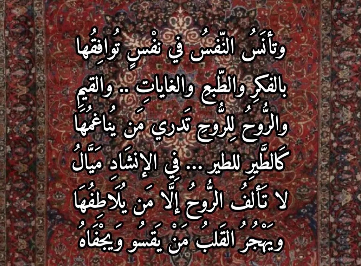 nouf tweet media