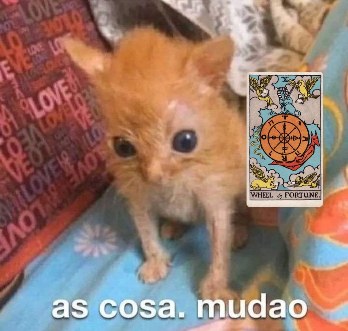 𝕺 ѵiajante. tweet media