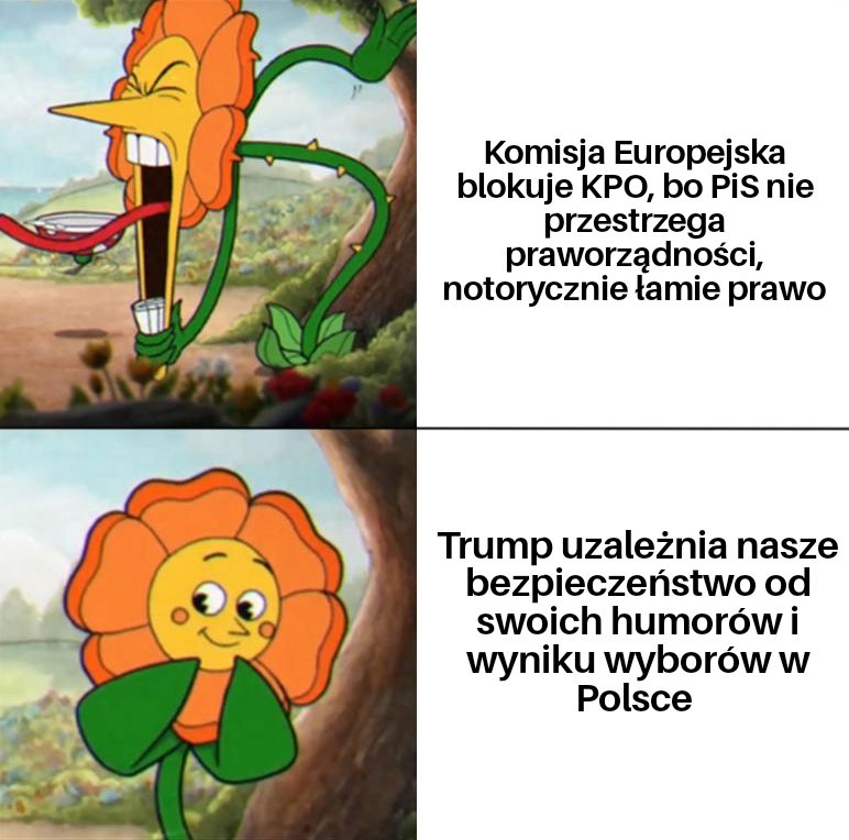 Amos tweet media