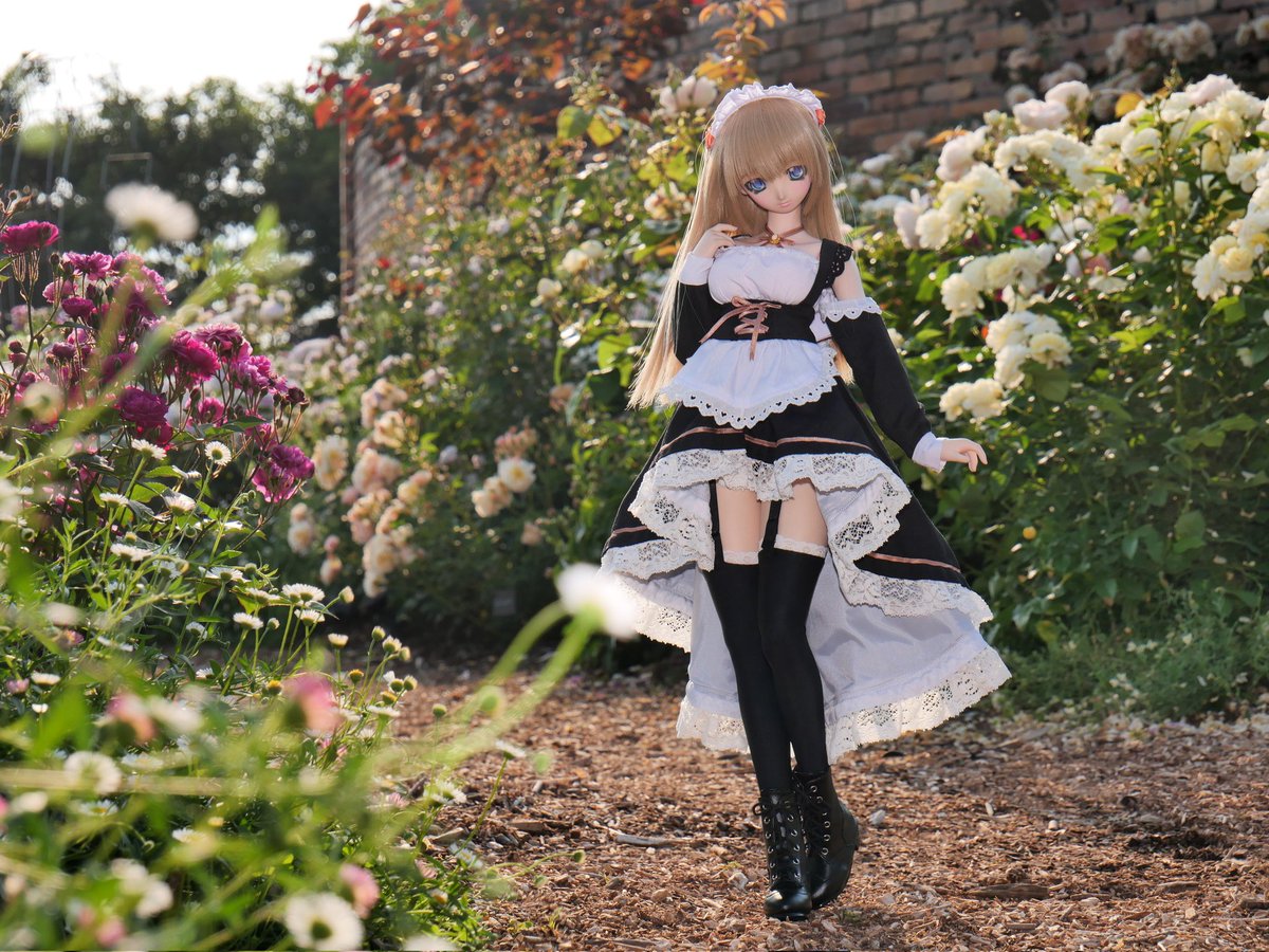 Tka＠レッツフォトなので tweet media