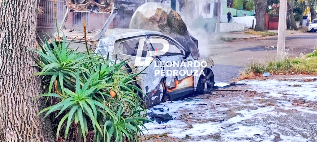Leonardo Pedrouza tweet media