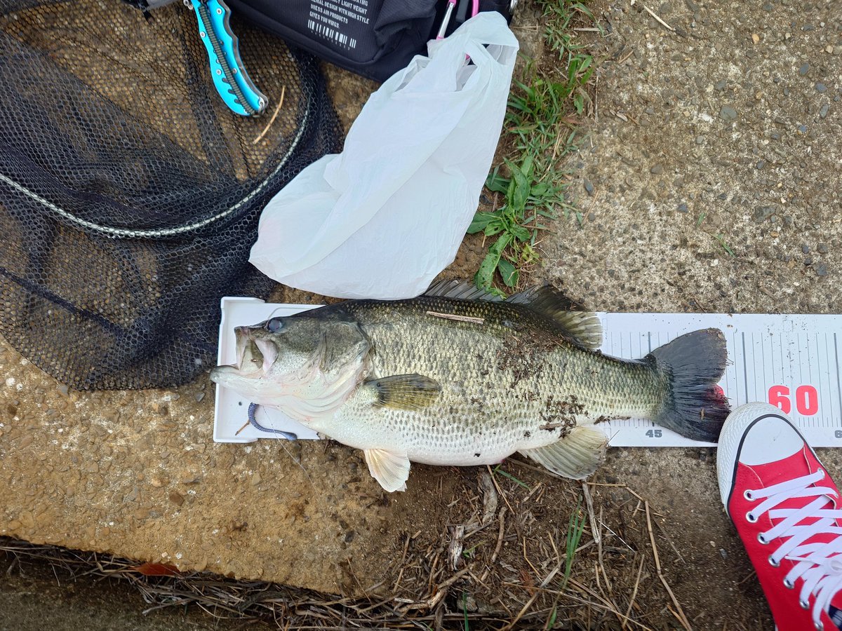 jun🎣 tweet media