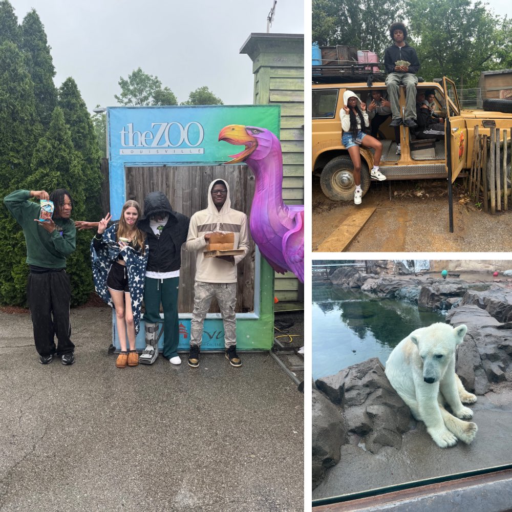 WesternTheSTEM's tweet photo. It’s been a busy week at Western! 🦁🌧️💚🖤

Yesterday our 10th graders enjoyed a trip to the zoo! Even with the rainy weather, students made the best of it and had a great time exploring and making memories together. 👏✨
#WarriorPride https://t.co/sVJ7gsjqSk