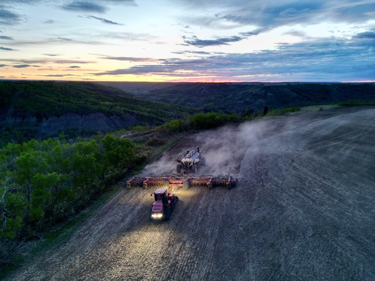 Prestville Farms Ltd tweet media