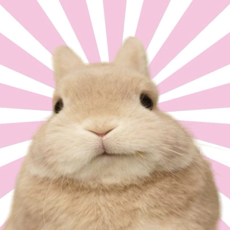 † vivy tweet media