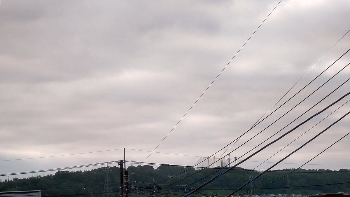 隊長のごんさん(避難中) tweet media