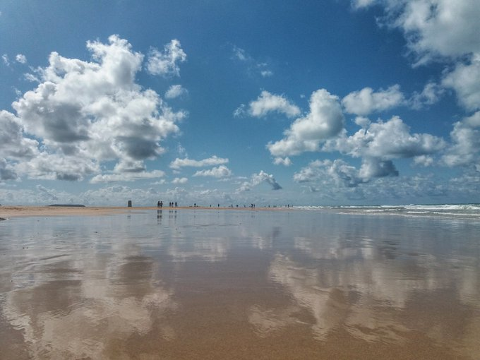AidaBSanchez's tweet photo. @juanjogines @FerranGarrido +#UnCaféYUnPoema

El cielo se mira en el espejo
del suelo.

#Reflejos...

La vida pasa por nosotros (...)
las cosas se viven en tierra
y no en azules ensueños.

#Reflejos...

El suelo mira las nubes
y sueña en ser cielo.

@FerranGarrido

📷@ManuelRevilla57 https://t.co/AxC3eeqsoj