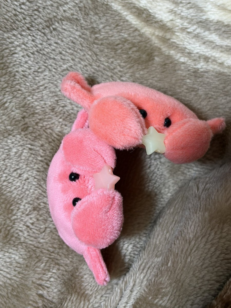 スミジンさん(@usani_san )のカニちゃん〜〜〜🦀🌟🦀かわい！！！！