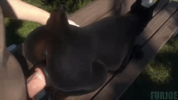 good boi 🐾 tweet media