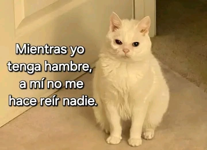 FraseSimple's tweet photo. https://t.co/0vND5Wc4M5