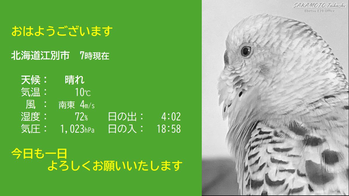 坂本孝志|四柱推命と暦の専門家 tweet media
