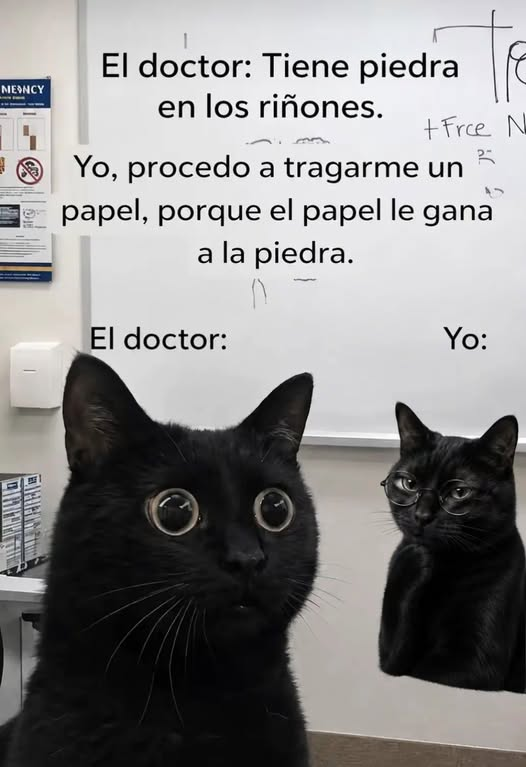 Enséñame de Ciencia tweet media