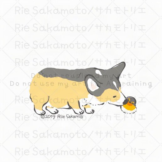 #キスの日 のコーギーと野鳥たち 