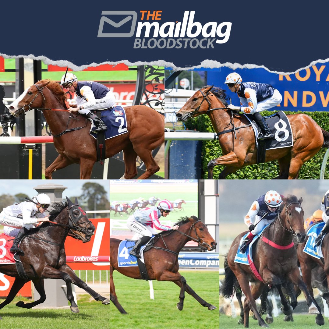 Mailbag Bloodstock tweet media
