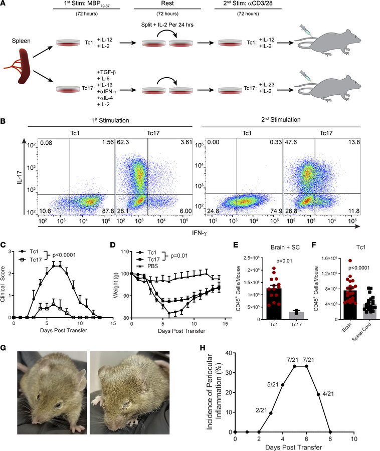 Waggoner Lab tweet media