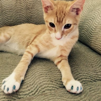 emma_bee160's tweet photo. #NewProfilePic https://t.co/m8sPmRlpjq