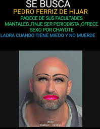 halcón Dávila tweet media