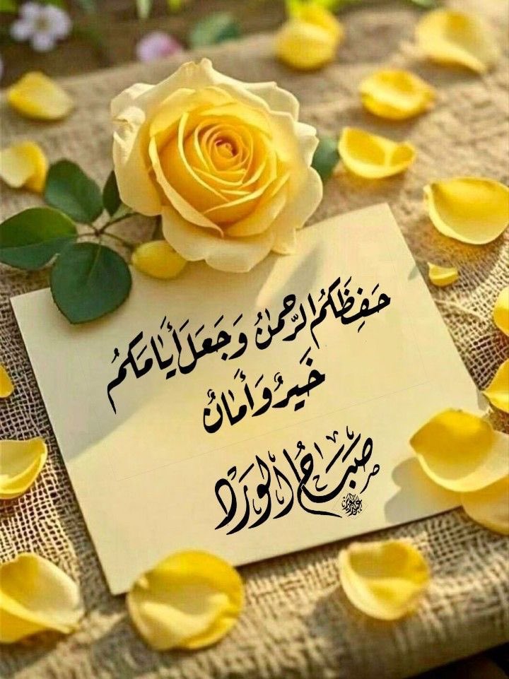 شموخ العز tweet media