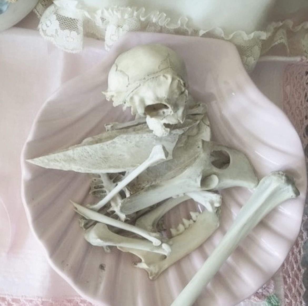 vera 🗝️ // edtwt tweet media