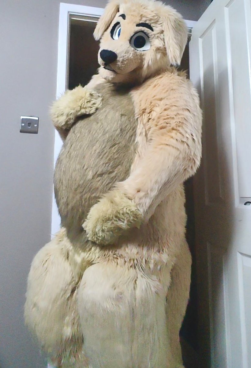 BigBellyBubbles tweet media