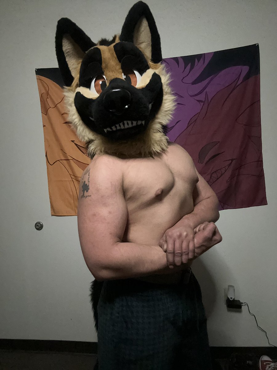 Timber tweet media