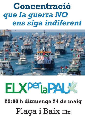 Grup Tortuga tweet media