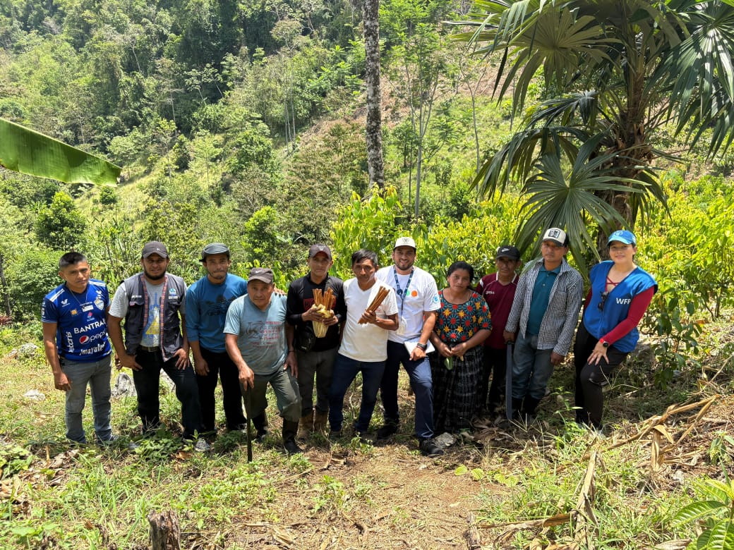 MagaGuatemala's tweet photo. #AltaVerapaz | Se realizó una visita técnica a los integrantes del #CADER Sesamat, con el objetivo de evaluar la comercialización de canela y pimienta en coordinación con el Programa Mundial de Alimentos, con el cual se busca beneficiar de manera directa a 18 familias productoras, abriendo canales de venta sin intermediarios que aseguren ingresos dignos y promuevan el desarrollo económico de las comunidades rurales. 🌱