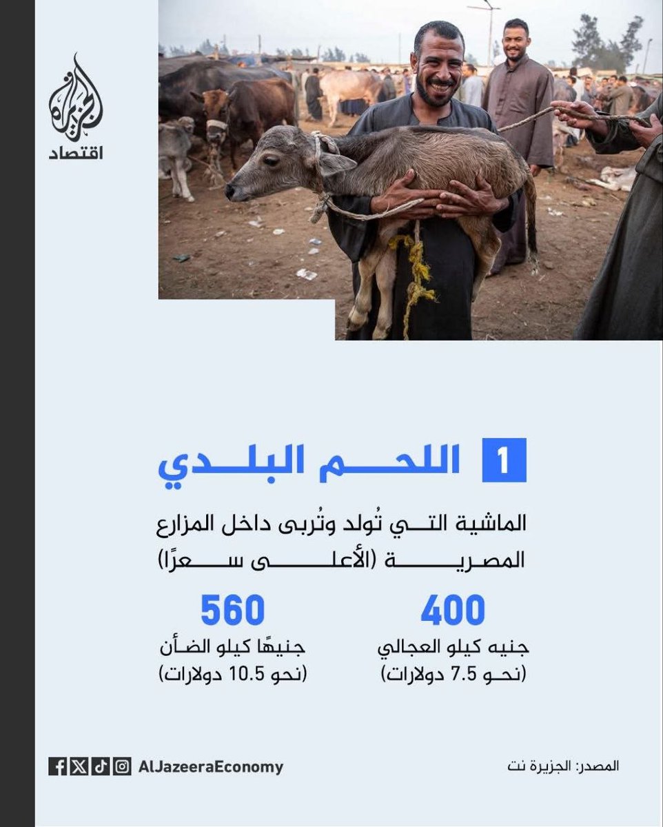 نايف عواض 𐩬𐩱𐩺𐩰𐩽𐩲𐩥𐩳 tweet media