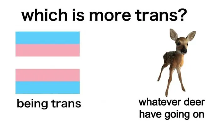 mfing deer girl 2sday tweet media
