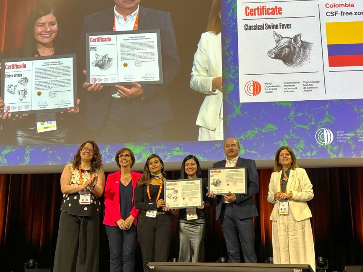 ICA Colombia tweet media