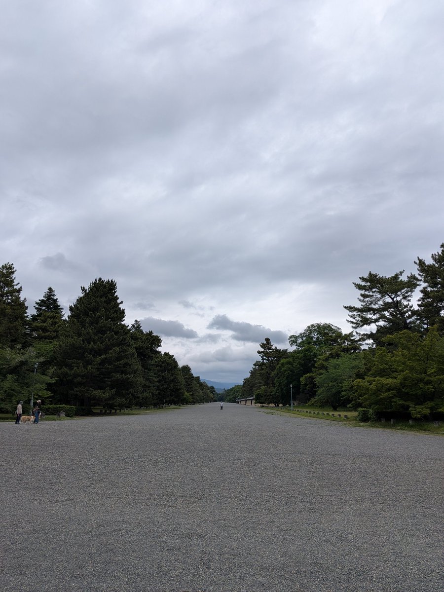 ズボーン tweet media