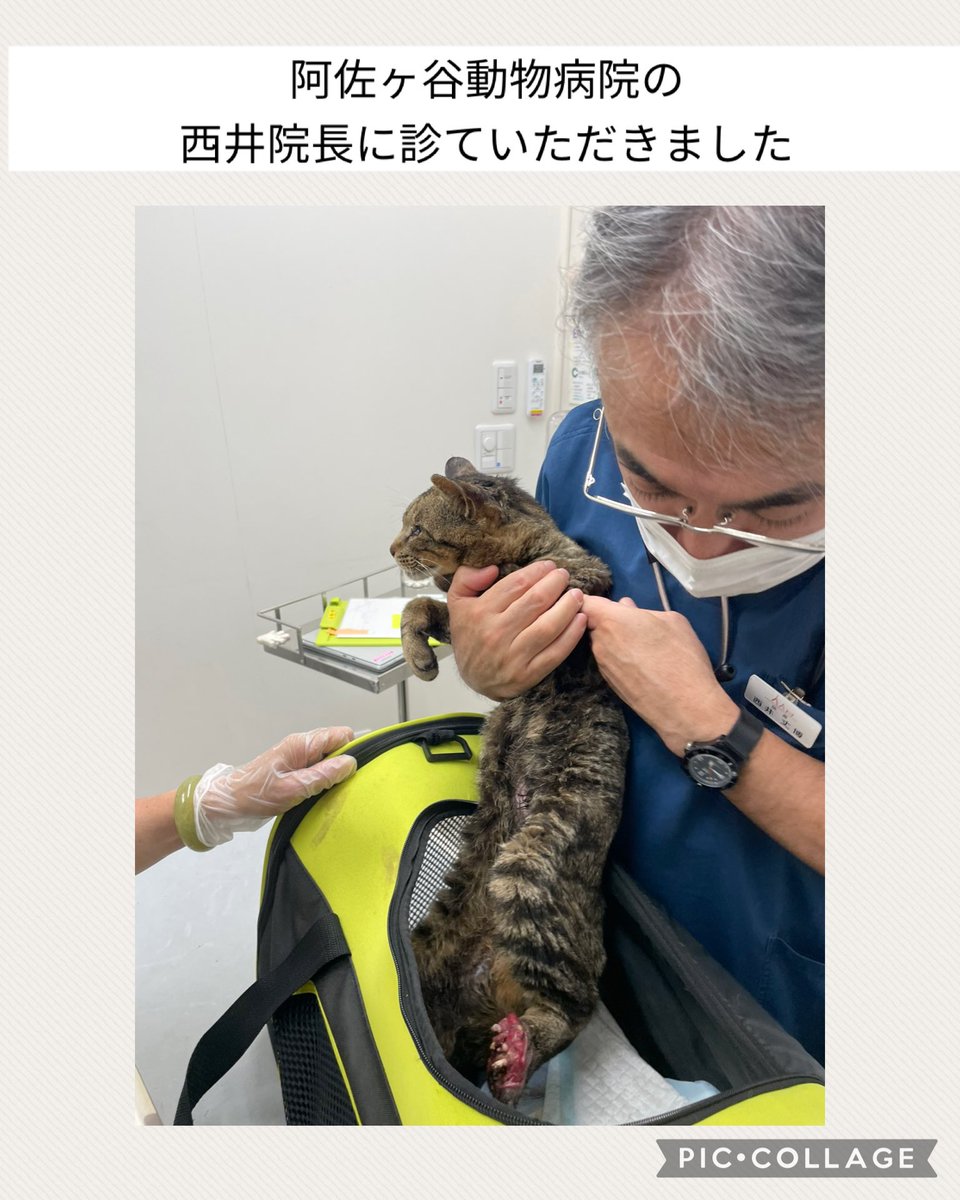 ____Usa's tweet photo. https://t.co/mSSAtTFKeK
