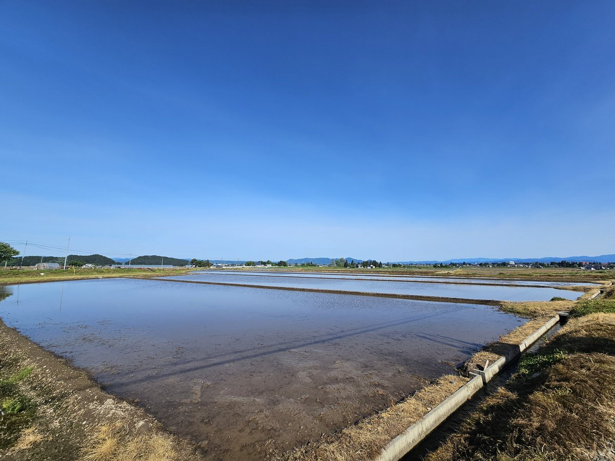 田植えじゃけぇー🌾 今日はこちらの闘いも ひたむきに全力で頑張ります