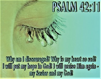 HisInspirations's tweet photo. GOD IS…. WORD... 
THAT’S SWEETENS BITTERNESS! 
CLK>>>>
https://t.co/ywd6vR4VtR
BLESU#@HisInspirations https://t.co/aHAlvF1OVd