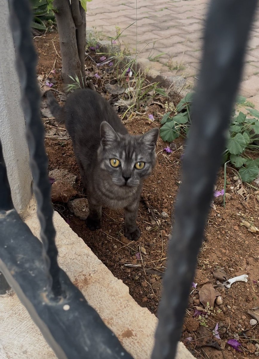 Tuğbişş tweet media