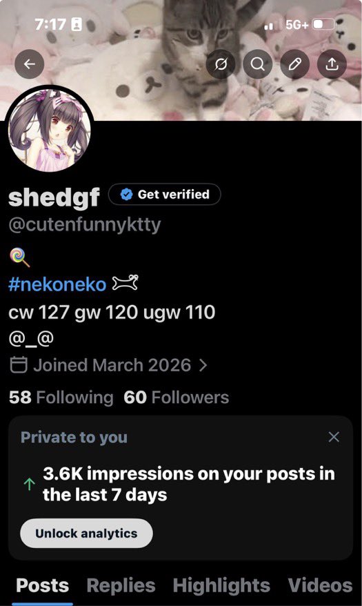 αngel ໒꒱ tweet media