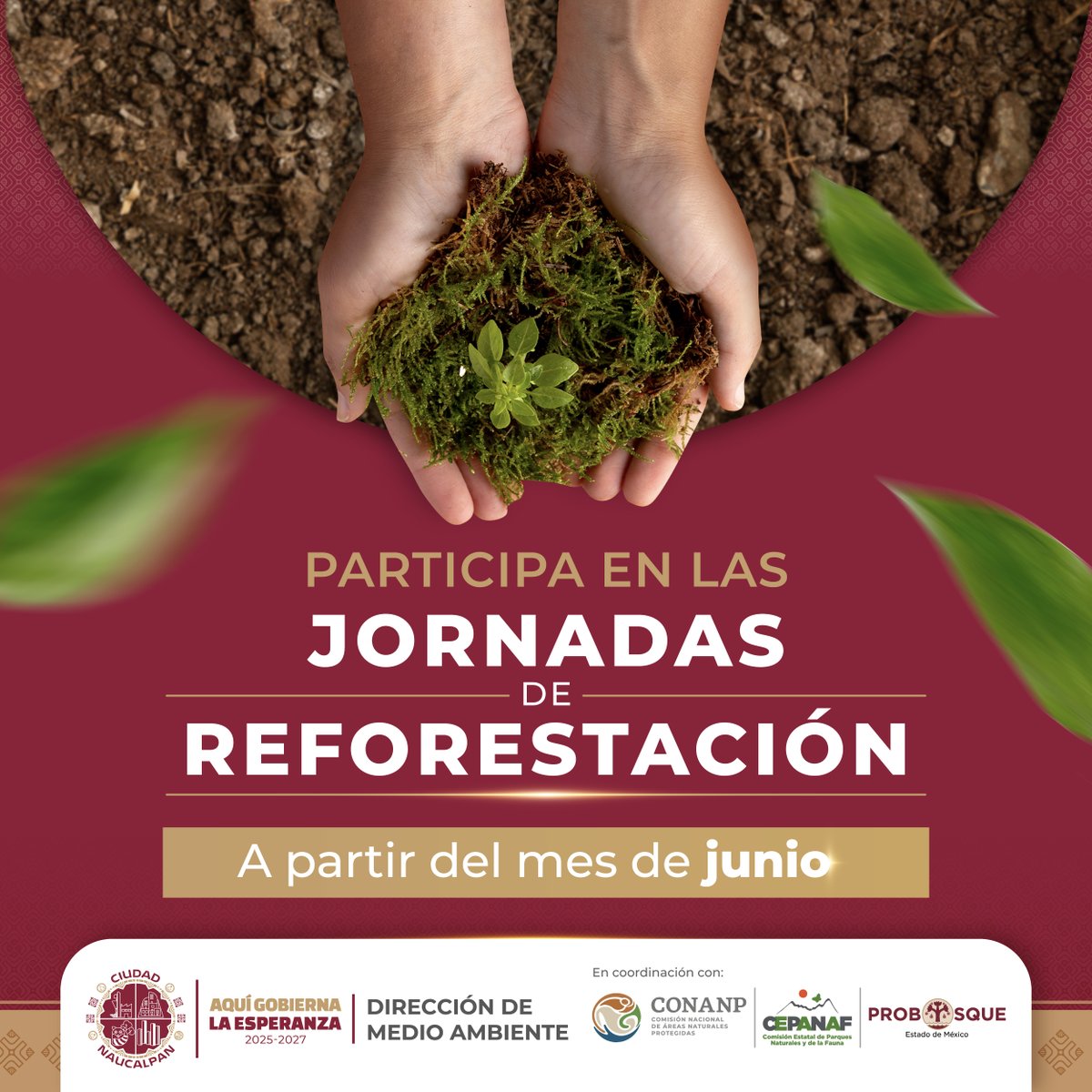 GobNau's tweet photo. El Gobierno de Ciudad Naucalpan, invita a la ciudadanía a participar en las jornadas de reforestación que iniciarán a partir del mes de junio.🌱
#AquiGobiernaLaEsperanza #Naucalpan #MedioAmbiente #Reforestacion https://t.co/RMkamR0Ifh
