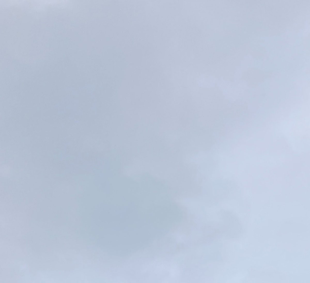 88boc's tweet photo. おはようございます
土曜日の空は
曇り☁️

風も少し冷たくて
寒いね

🪴☘️🥥☕️✨
#空　#空を読む　#空が好き  #ファインダー越しの私の世界 https://t.co/wgE8GXYgeB