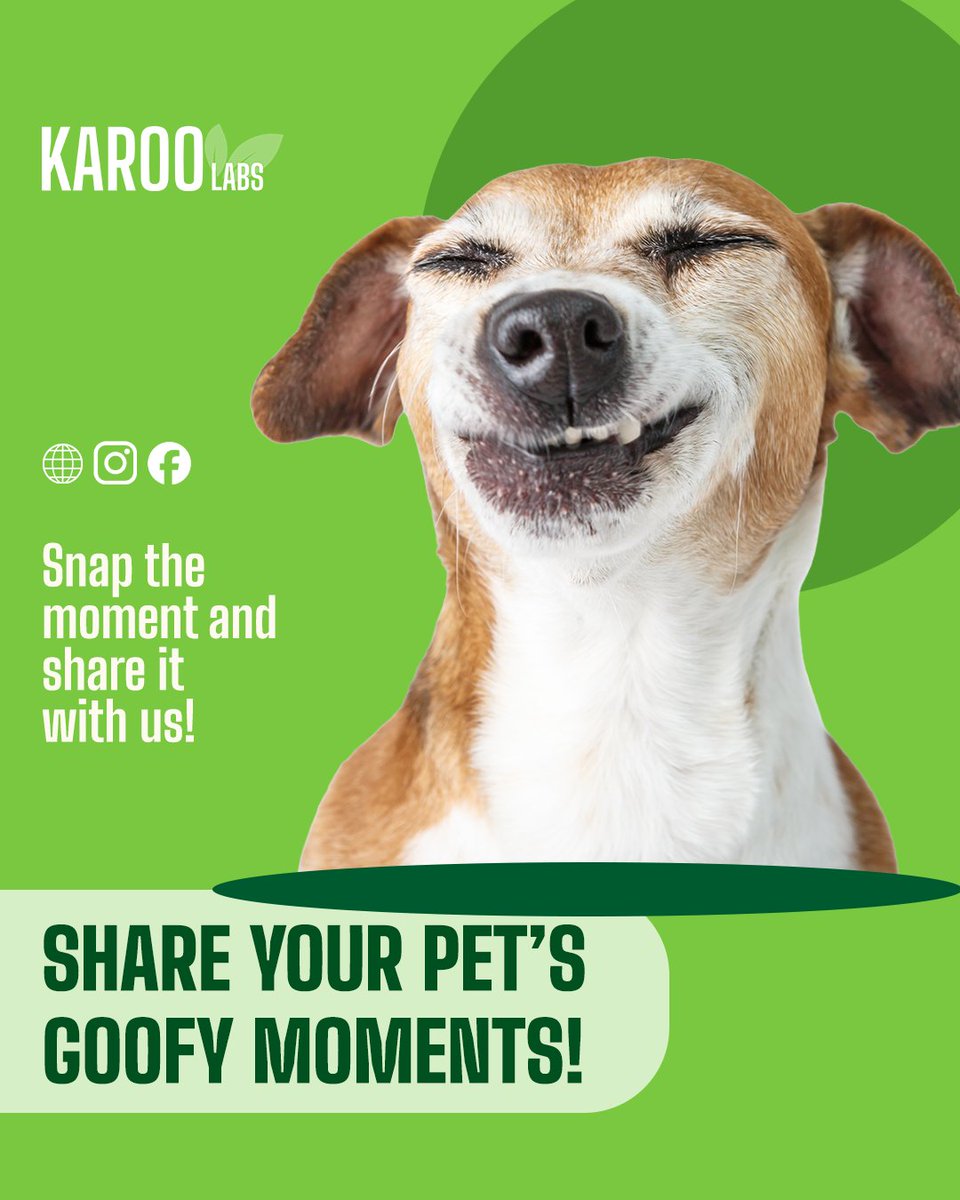 KarooLabs's tweet photo. Is your pet up to something cute, funny, or downright silly? 

Snap the moment and share it with us! 

Your fur baby could be featured in the Karoo Labs spotlight.

https://t.co/K6xXg7JqSI

#HeartHealthMonth #PetHealthAwareness #HealthyHeart #KarooLabs https://t.co/2om3ta79qn