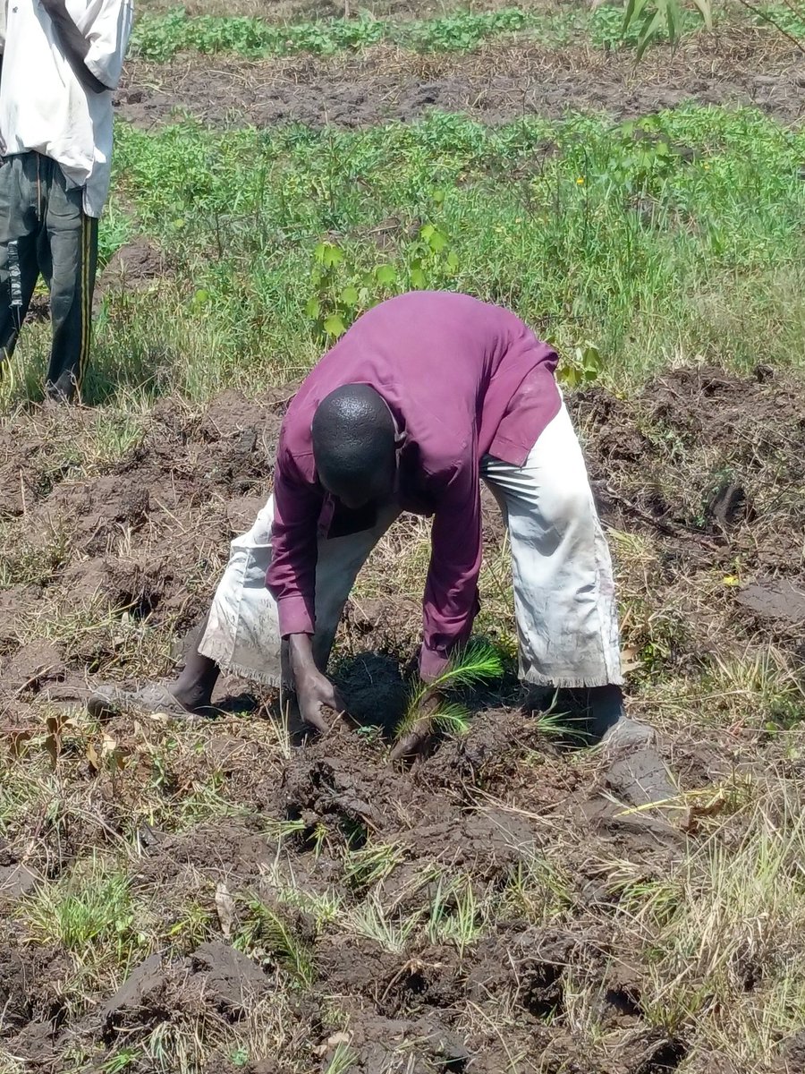 ayowecca_uganda's tweet photo. We fight the rights of nature to restore dignity not just to ecosystems but to the communities whose survival, identity & spiritual wholeness are rooted in living landscapes. #Refi #Web3 #GlobalDayofAction2026 #MonthlyEarthDay #QSimpact #ClimateAction #ClimateResilience #climate https://t.co/XgIDV1oK1X