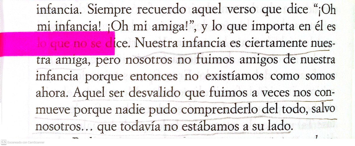 julieta tweet media