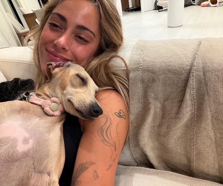 TINI Data tweet media