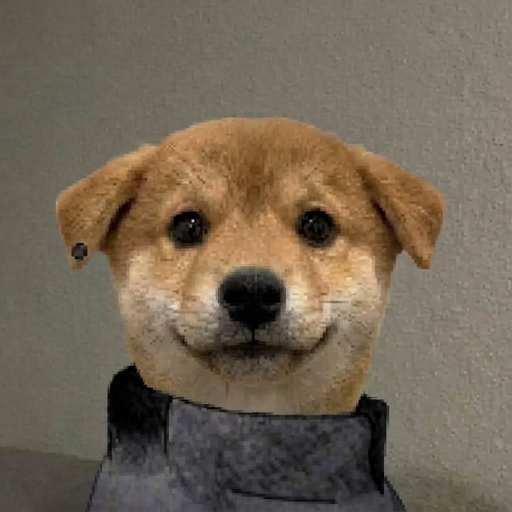 pfp tweet media