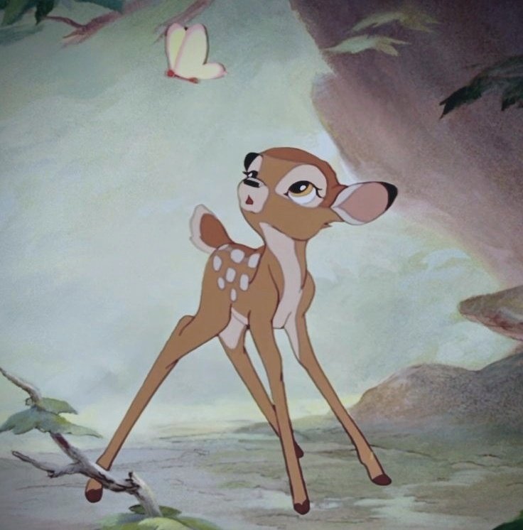 Vee 🦌🖤 tweet media