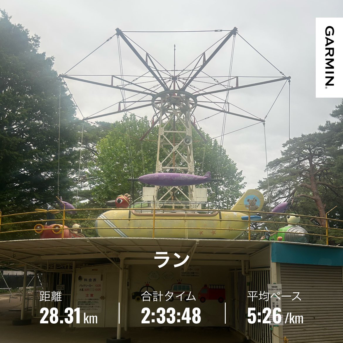 さーちゃんは走りたい🏃♀️ tweet media