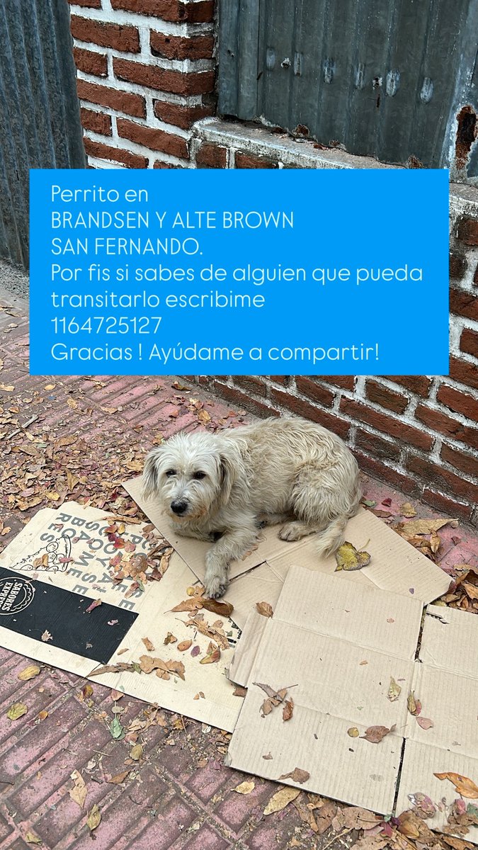 Tinalatina tweet media