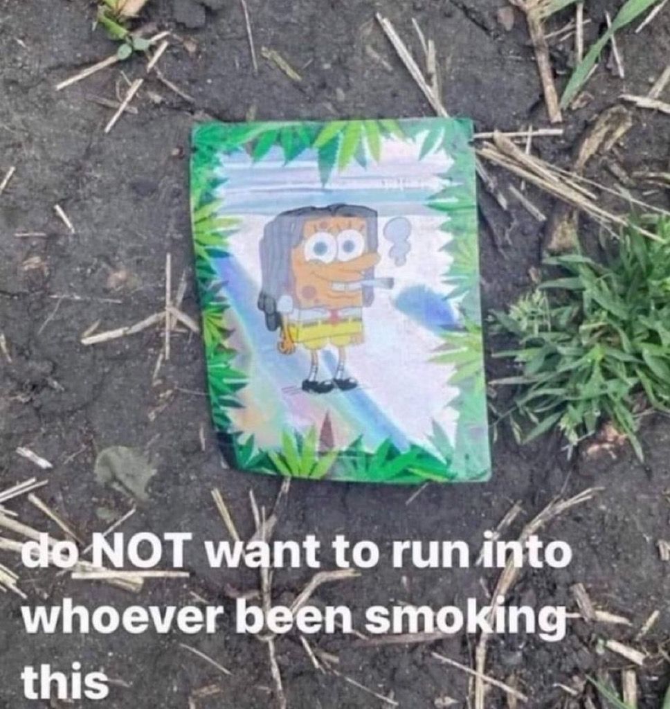 WeedPorns's tweet photo. That mf definitely up to no good https://t.co/ZmBanekZuY