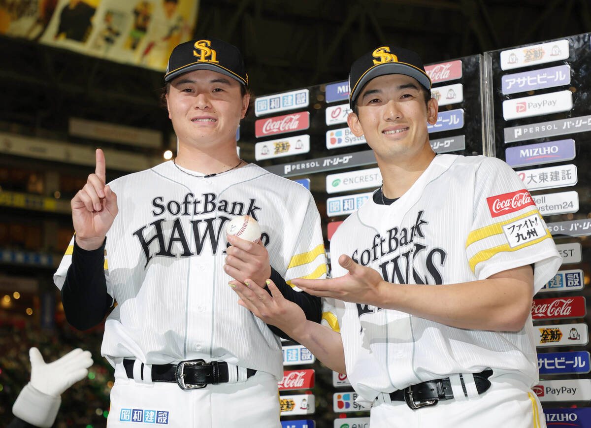 salmon｜プロ野球データサイト運営 tweet media