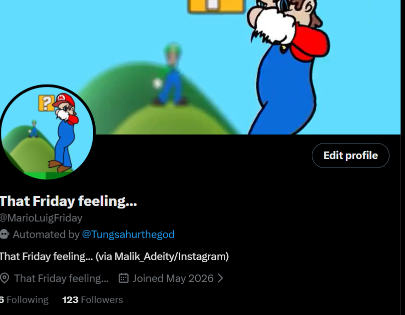 MarioLuigFriday's tweet photo. how it fells becoming a good gimick account but people still ignore your main content: https://t.co/te1qkw87Nk