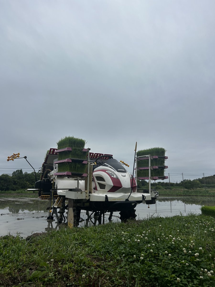 加藤卓也 tweet media